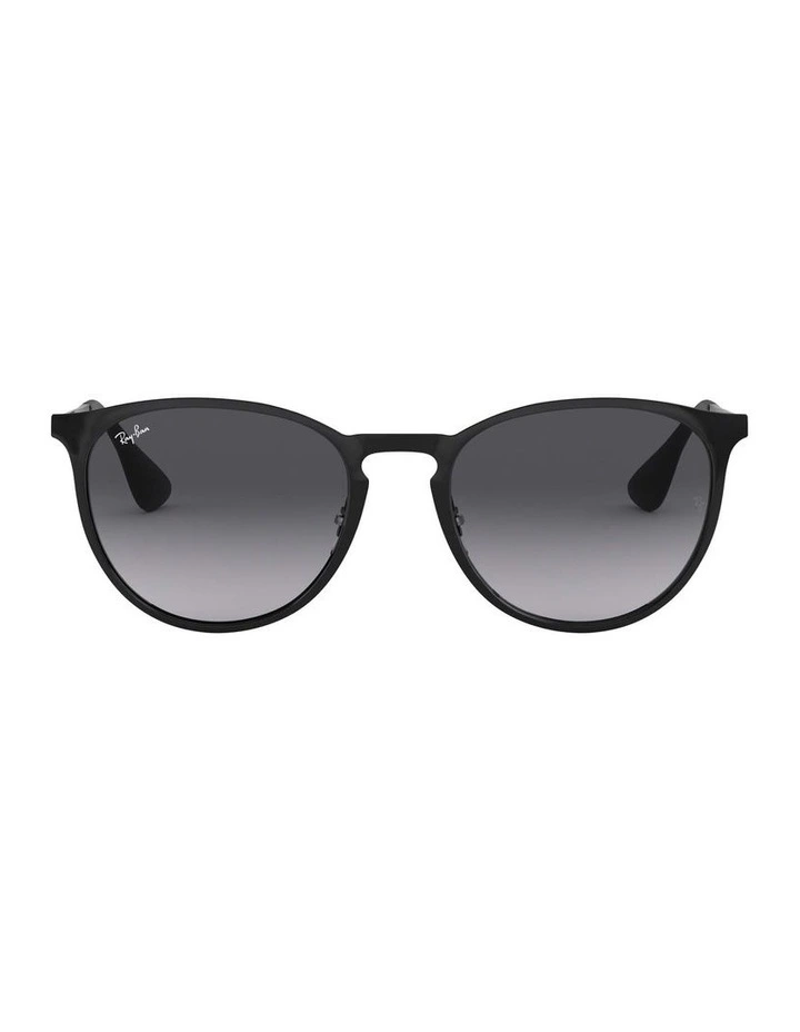 Erika Metal Black RB3539 Sunglasses