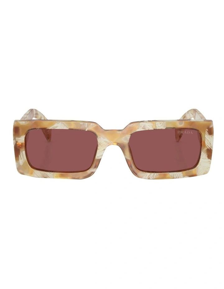 PR A07S Sunglasses in Brown