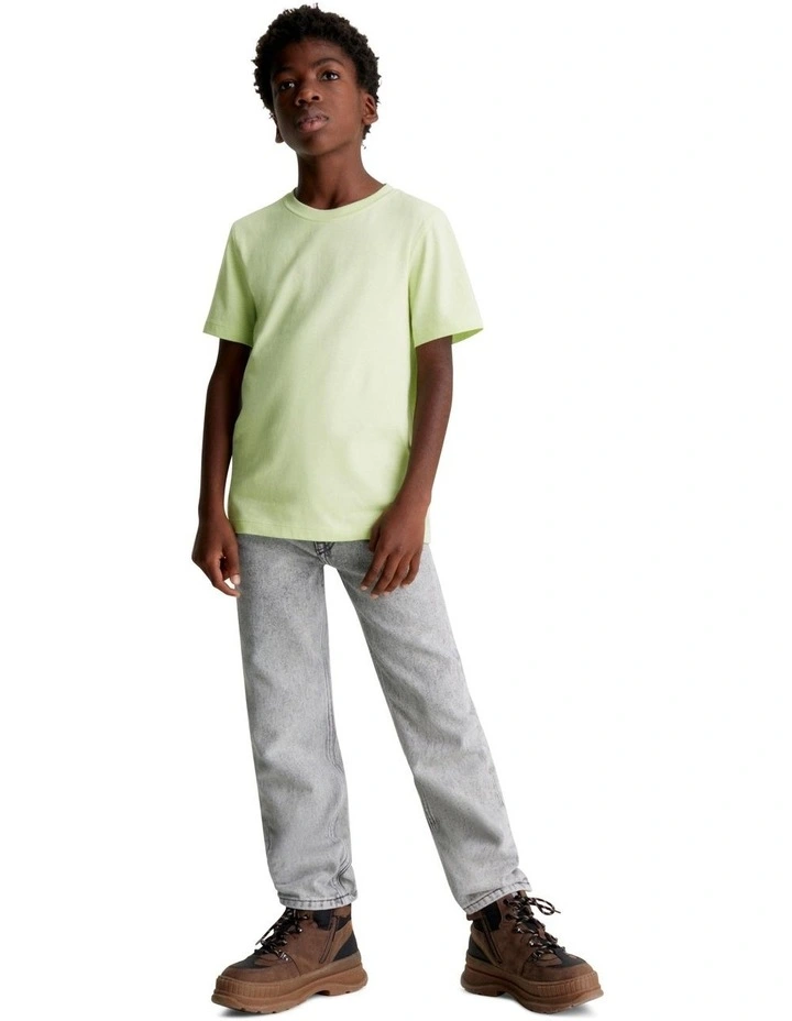 Jersey Relaxed Short Sleeve T-shirt in Exotic Mint