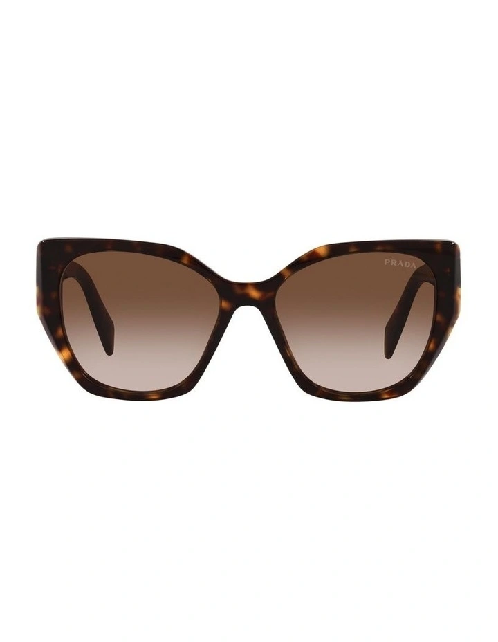 0PR 19ZSF Sunglasses in Tortoise