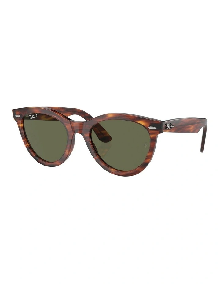 Wayfarer Way Polarised Sunglasses in Brown