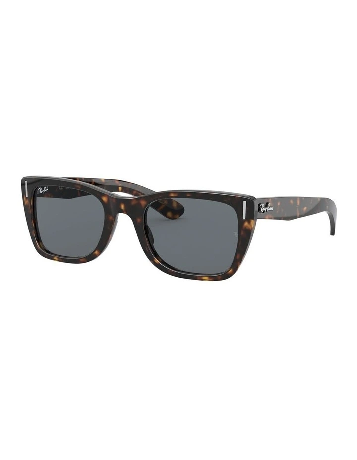Caribbean Brown RB2248 Sunglasses