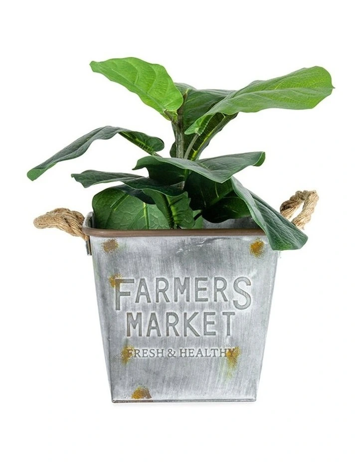Farmers Market Galv-Rust Square Bucket Planter in Rust