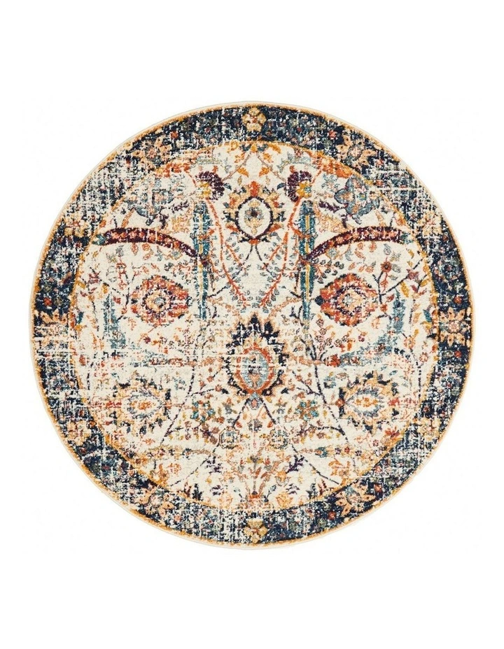 Evoke Peacock Transitional Round Rug in Multi