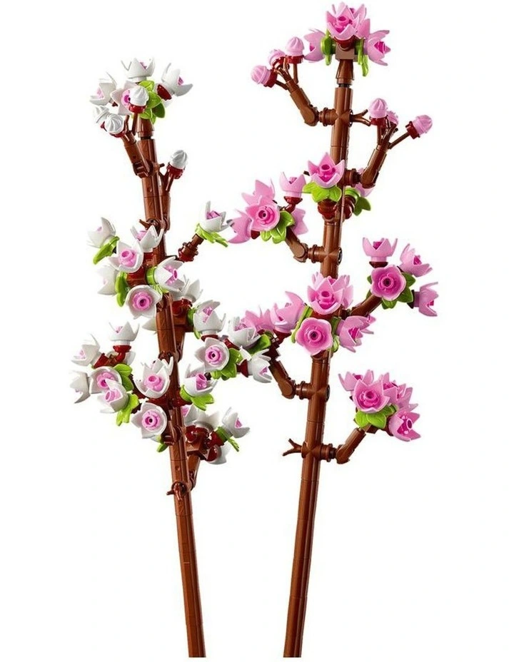 Iconic Cherry Blossoms 40725