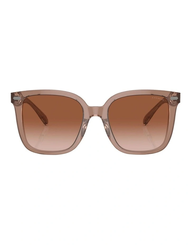 CL918 Sunglasses in Brown