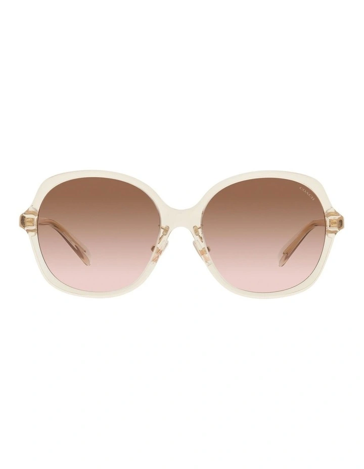 CH610 Sunglasses in Brown