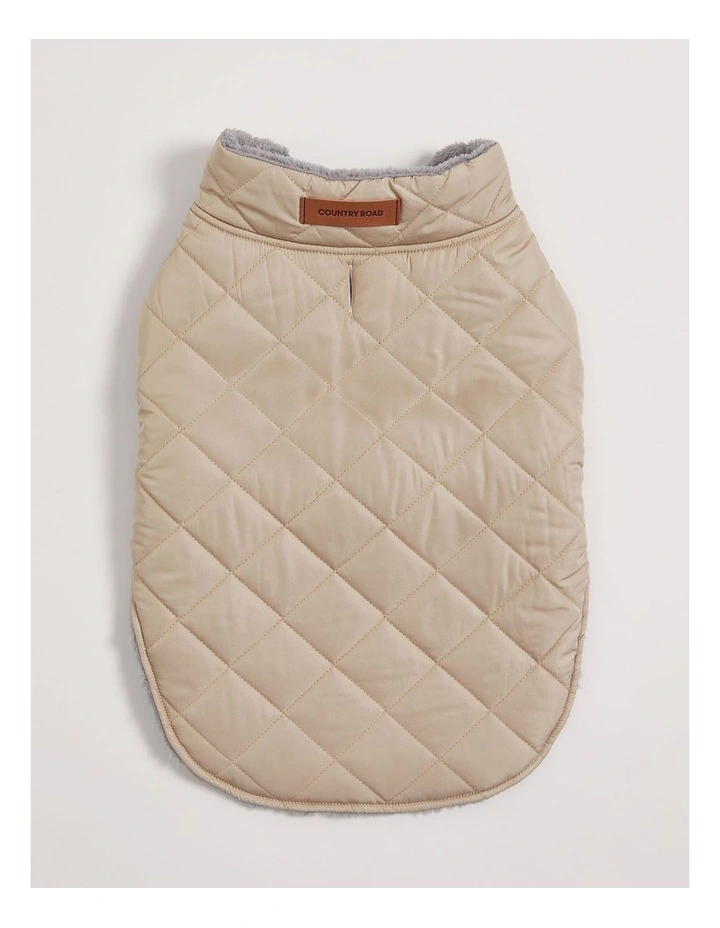Alfie Puffer in Cobblestone