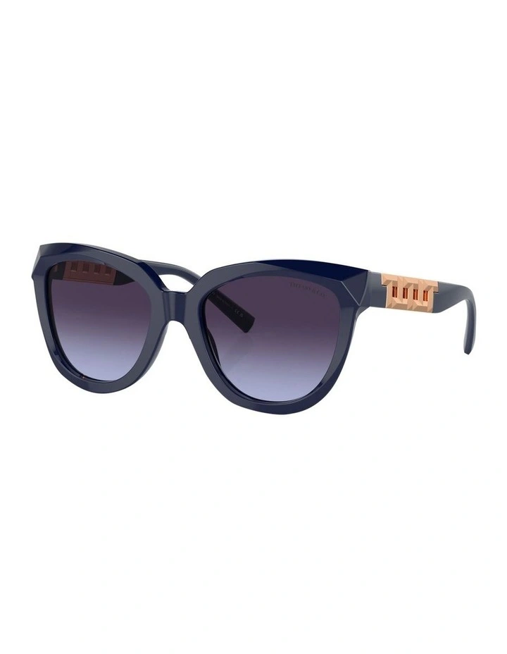 TF4215 Sunglasses in Blue