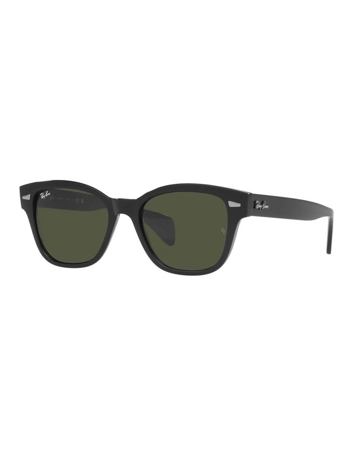 0RB0880SF Sunglasses In Black