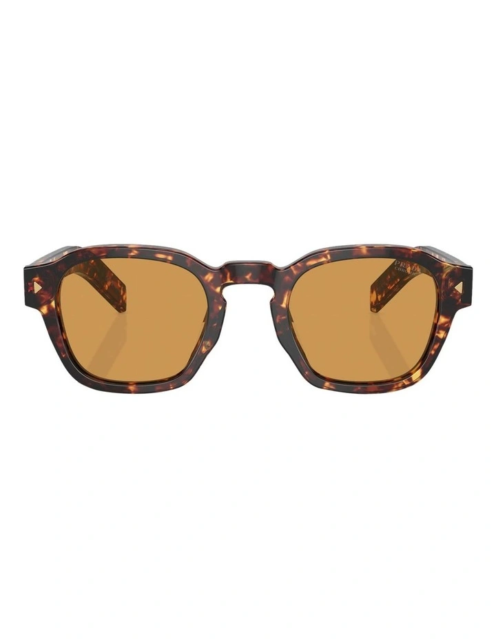 PR A16S Sunglasses in Tortoise