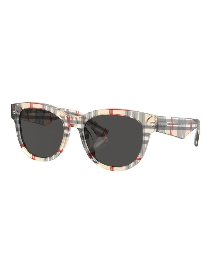 Sunglasses in Brown