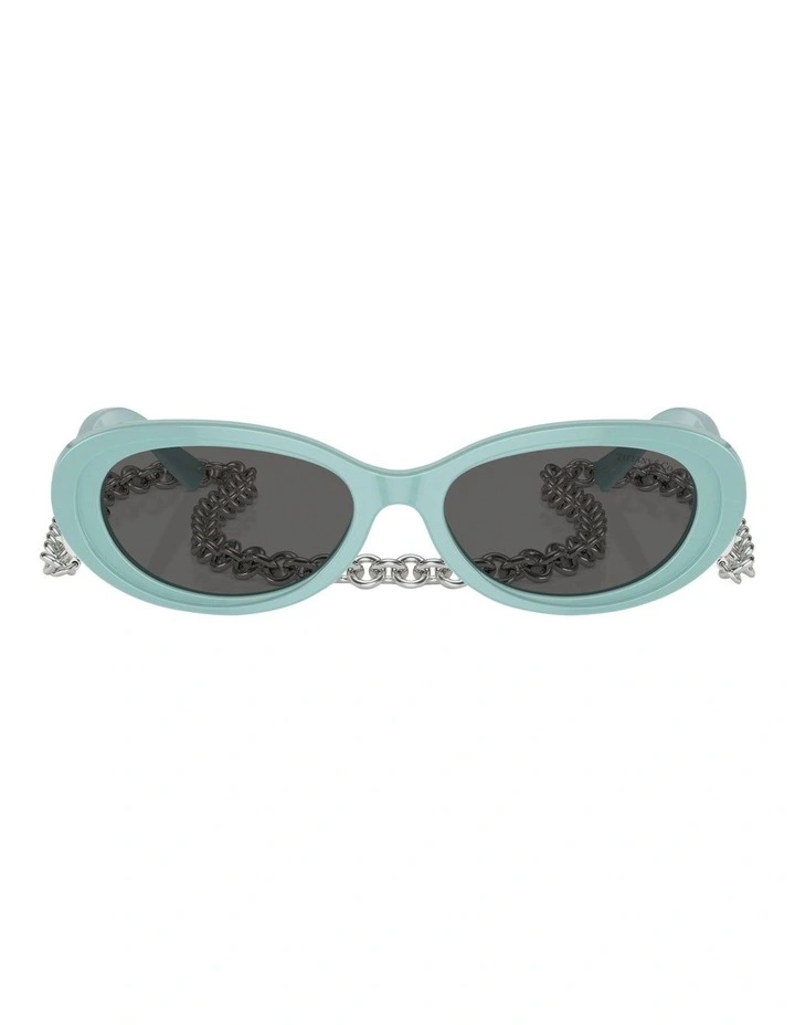 TF4221 Sunglasses in Blue