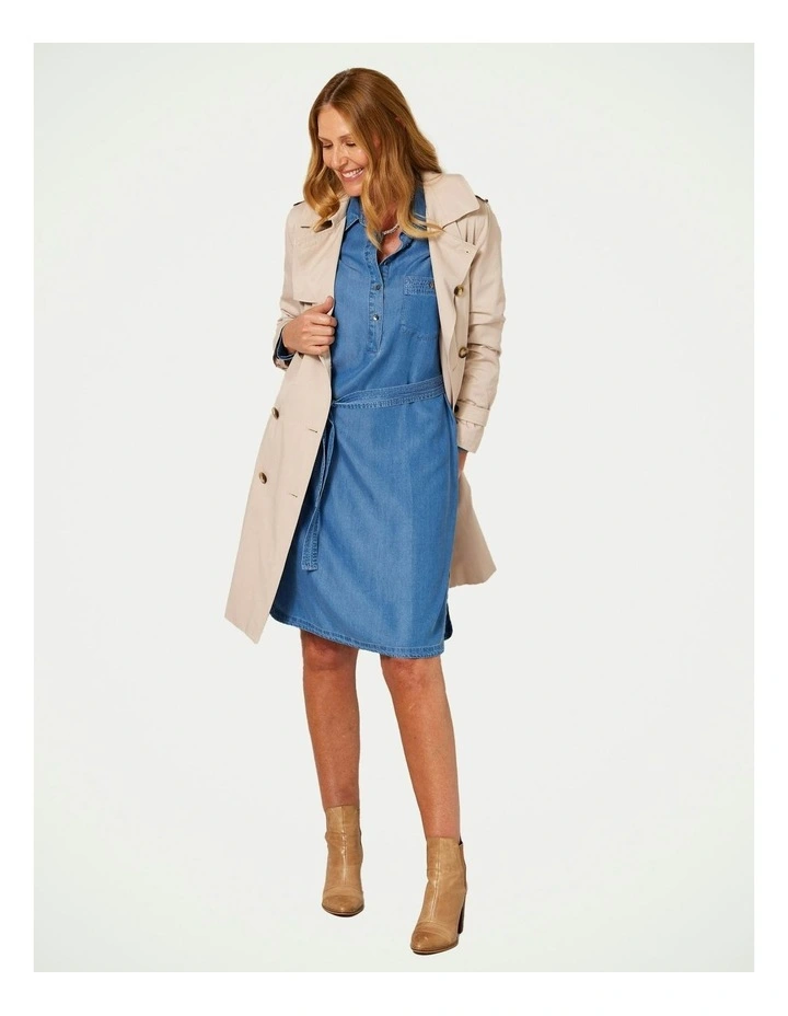 Laurant Shirtmaker Dress in Chambray