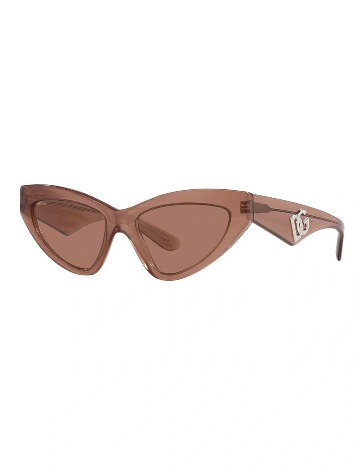 DG4439 Sunglasses in Brown