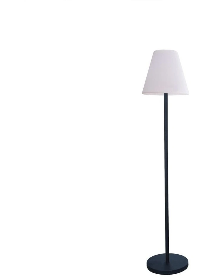 150CM LED Floor Lamp Solar DC