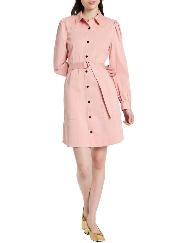 Caitlyn Shirt Dress in Champagne