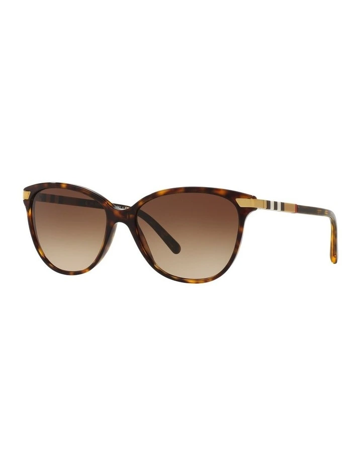 BE4216 Brown Sunglasses