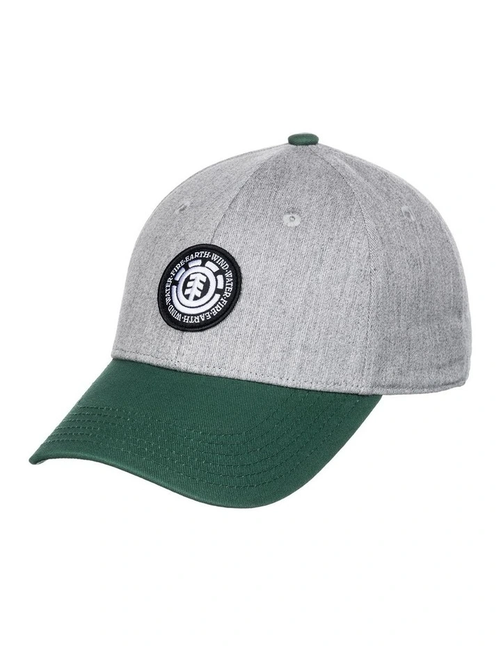 Treelogo 2.0 Baseball Cap in Grey