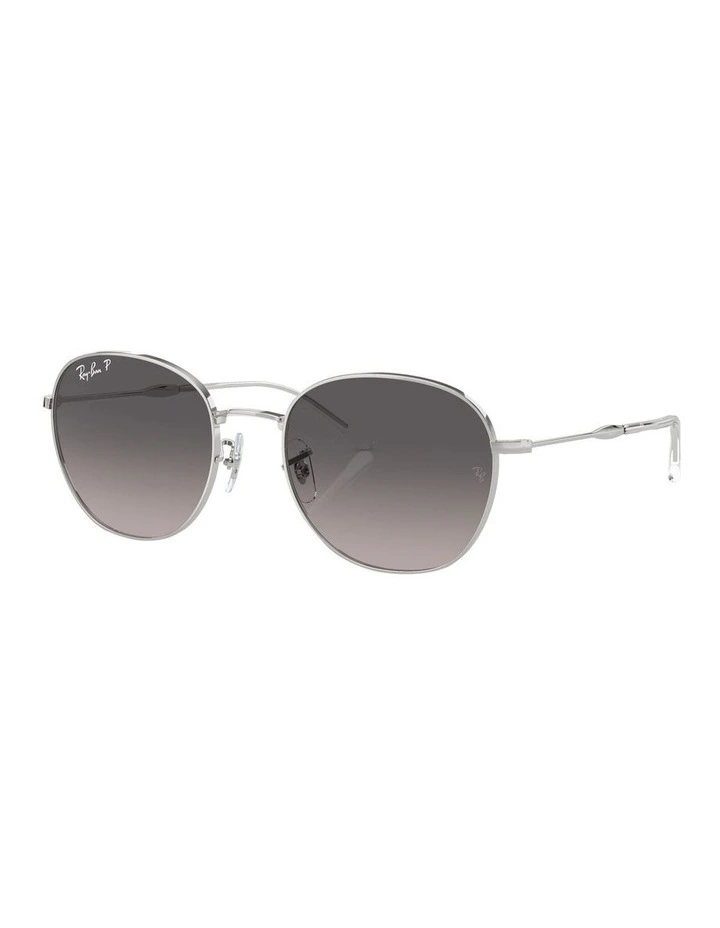 Polarised RB3809 Sunglasses in Silver