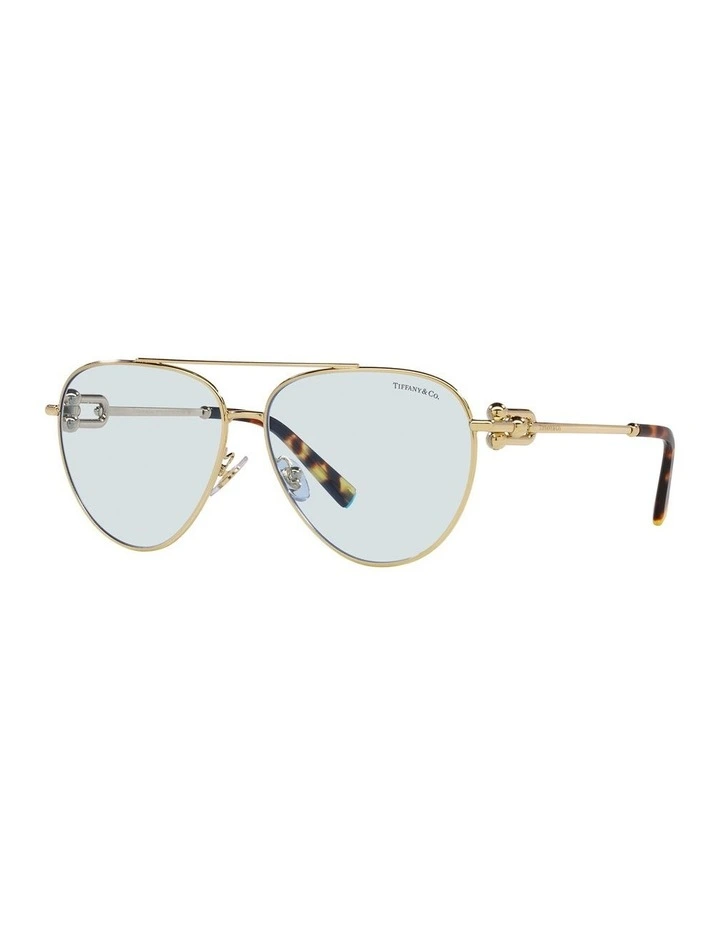 TF3092 Sunglasses in Gold