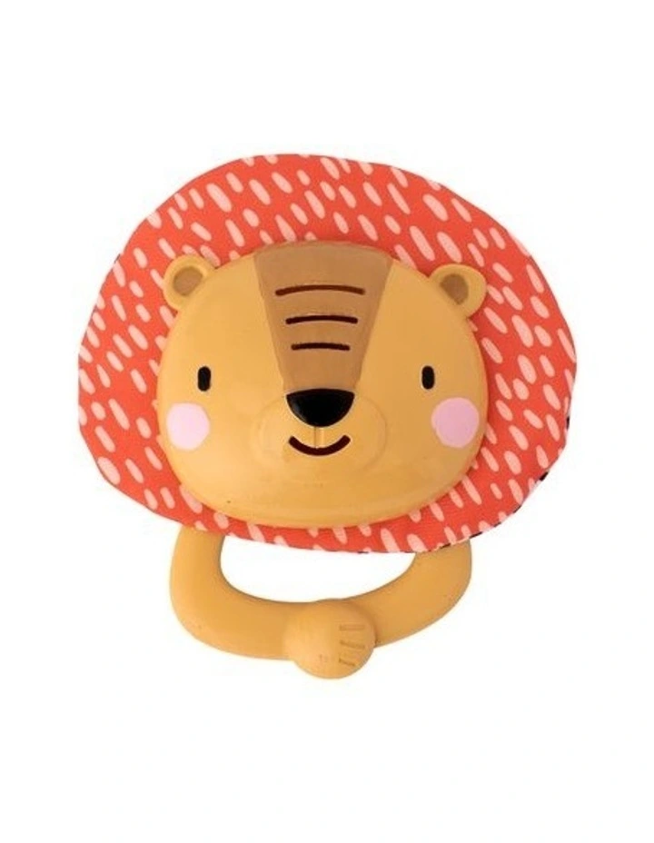 TAF Harry Lion Cymbals