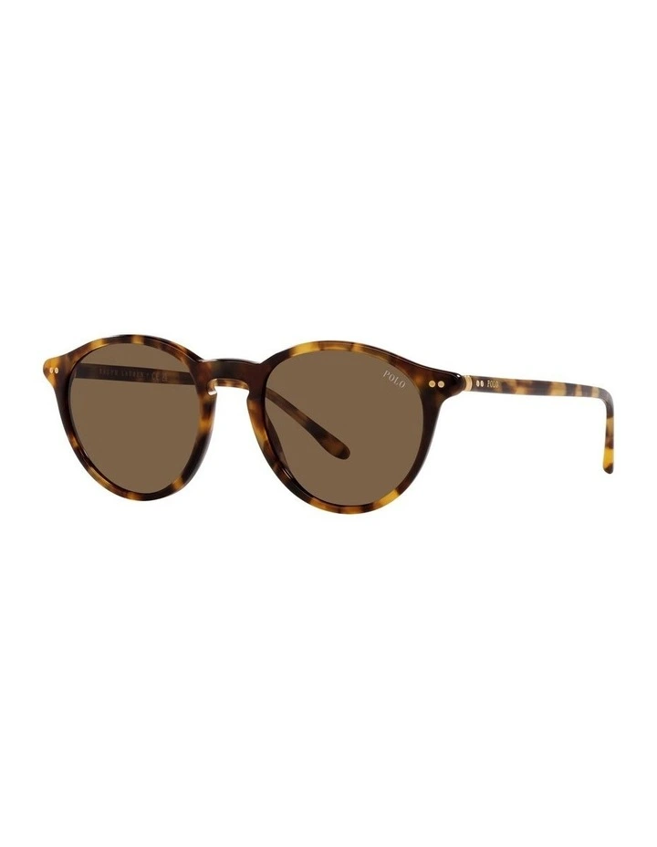 PH4193 Sunglasses in Brown