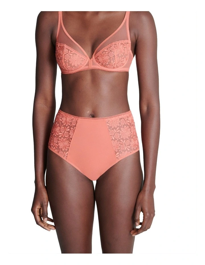 Amazone Culotte Brief in Pink