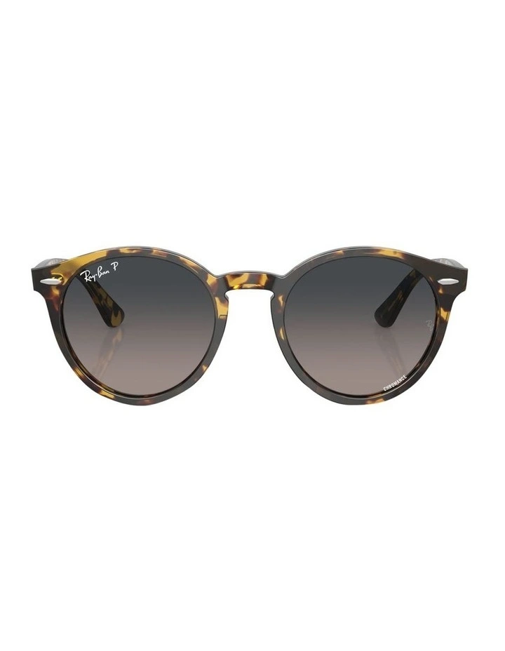 Larry Polarised Sunglasses in Brown