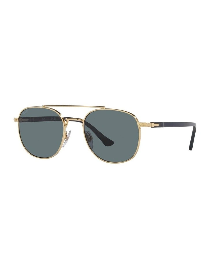 PO1006S Polarised Sunglasses in Gold
