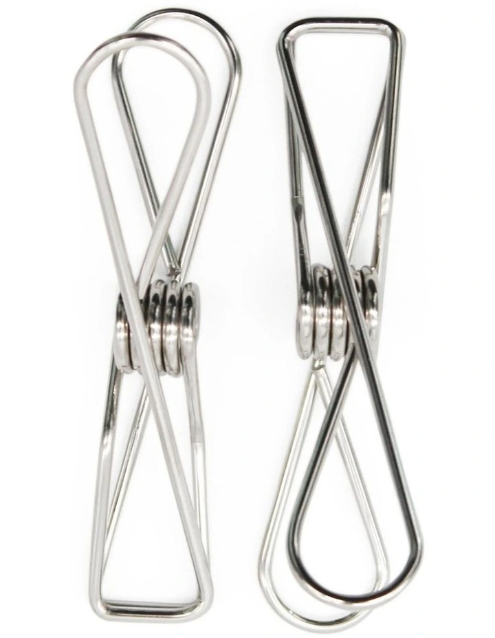 Large Stainless Steel Pegs 40 Pack in Silver