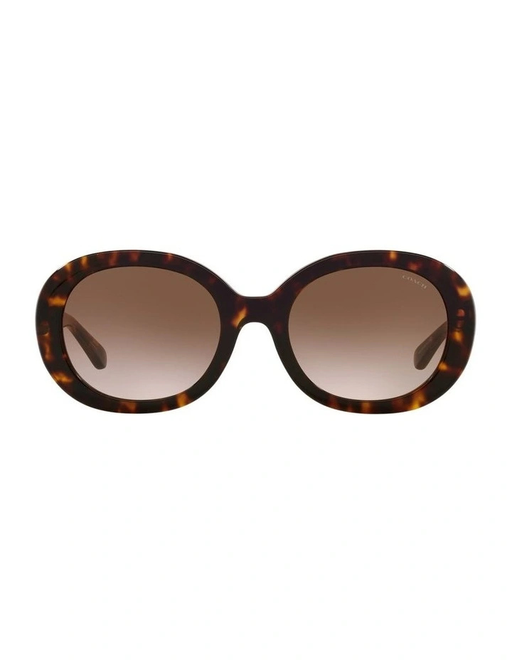 HC8337U C7992 Tortoise Sunglasses