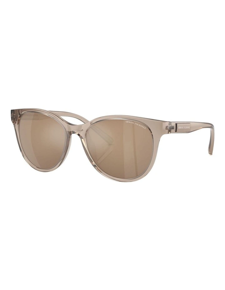 AX4144SU Sunglasses in Brown