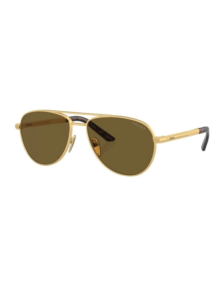 PR A54S Sunglasses in Gold