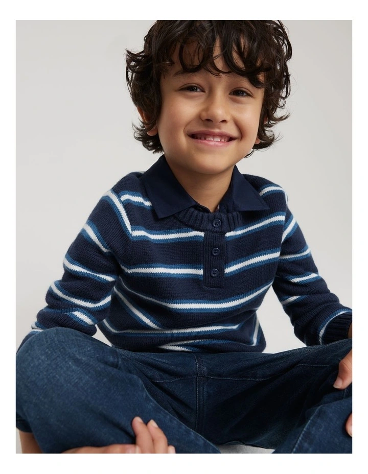 Organically Grown Cotton Blend Stripe Henley Knit Sweater in Navy Stripe