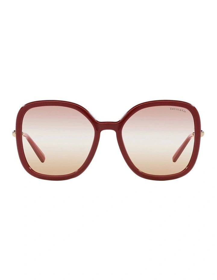 TF4202U Sunglasses in Violet