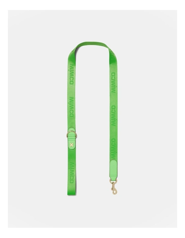 Pooch Lead in Spiced Apple