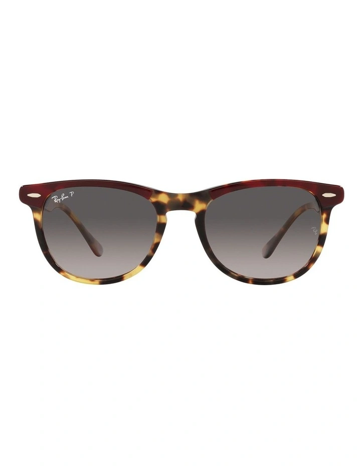 Eagle Eye Polarised Sunglasses in Red