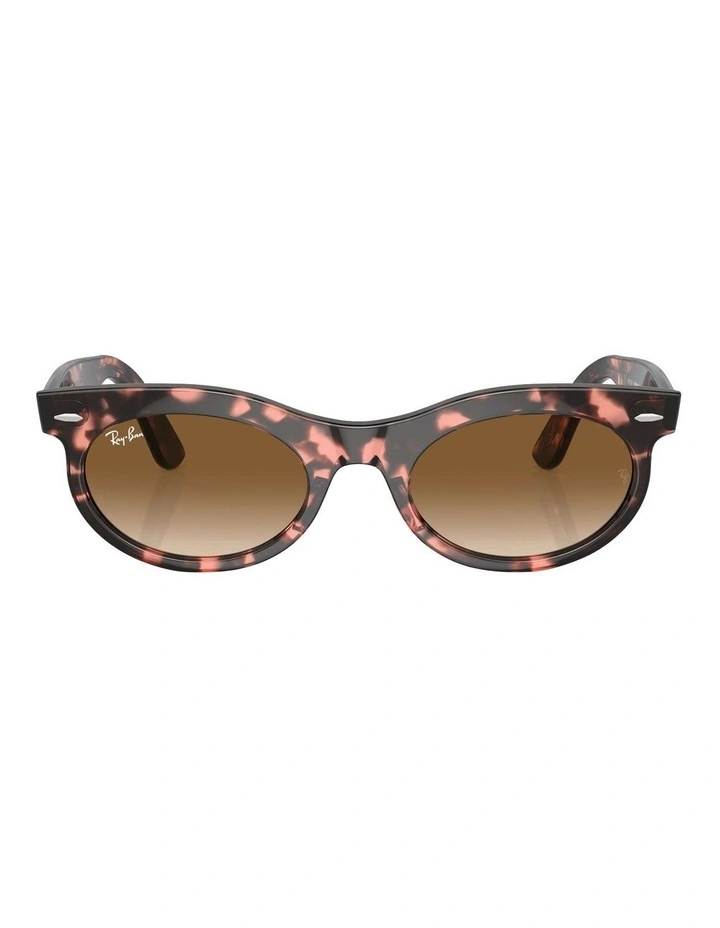 Wayfarer Oval Sunglasses in Pink