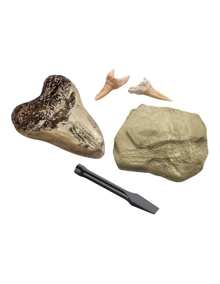 Mini Fossil Shark Teeth Dig Set 2 Pack