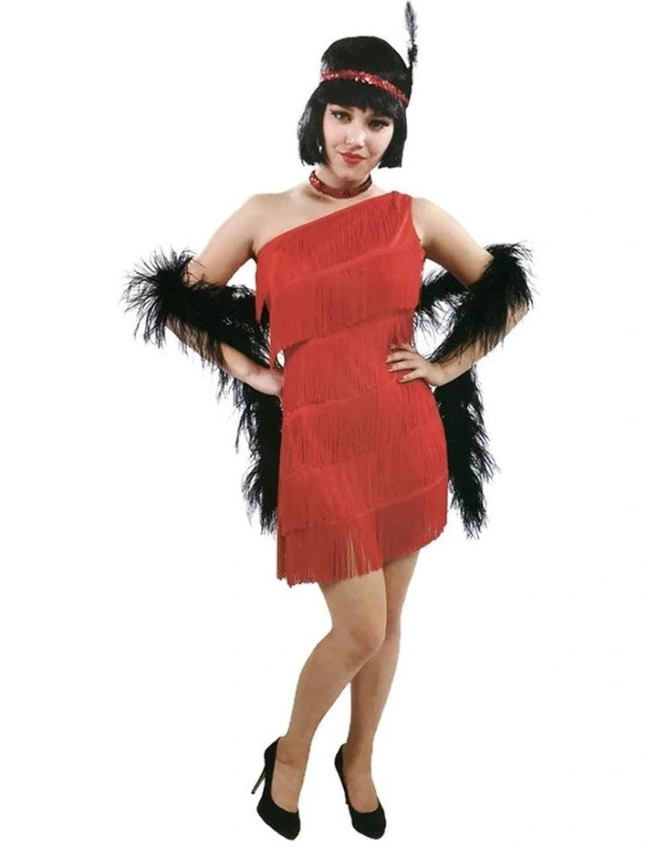 1920s 20s Charleston Flapper Chicago Gatsby Fancy Dress Costume in Multi