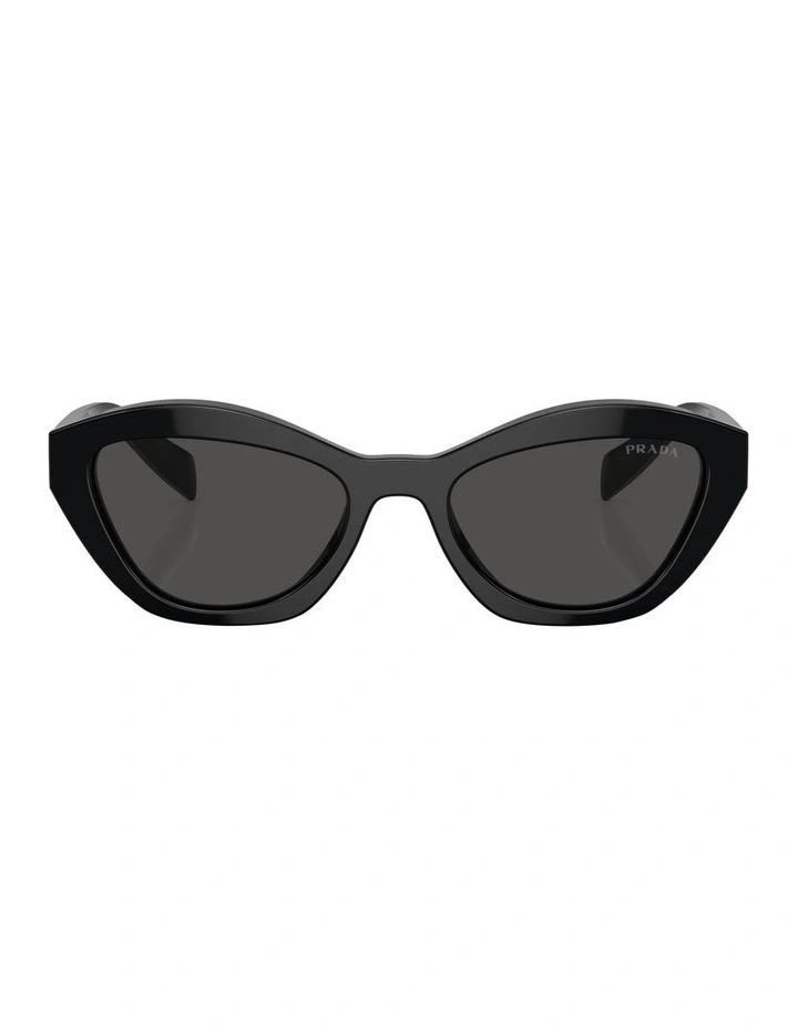 PR A02SF Sunglasses in Black