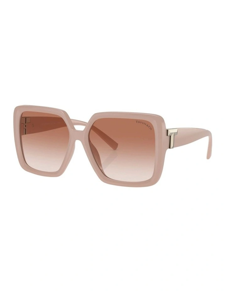 TF4206U Sunglasses in Pink