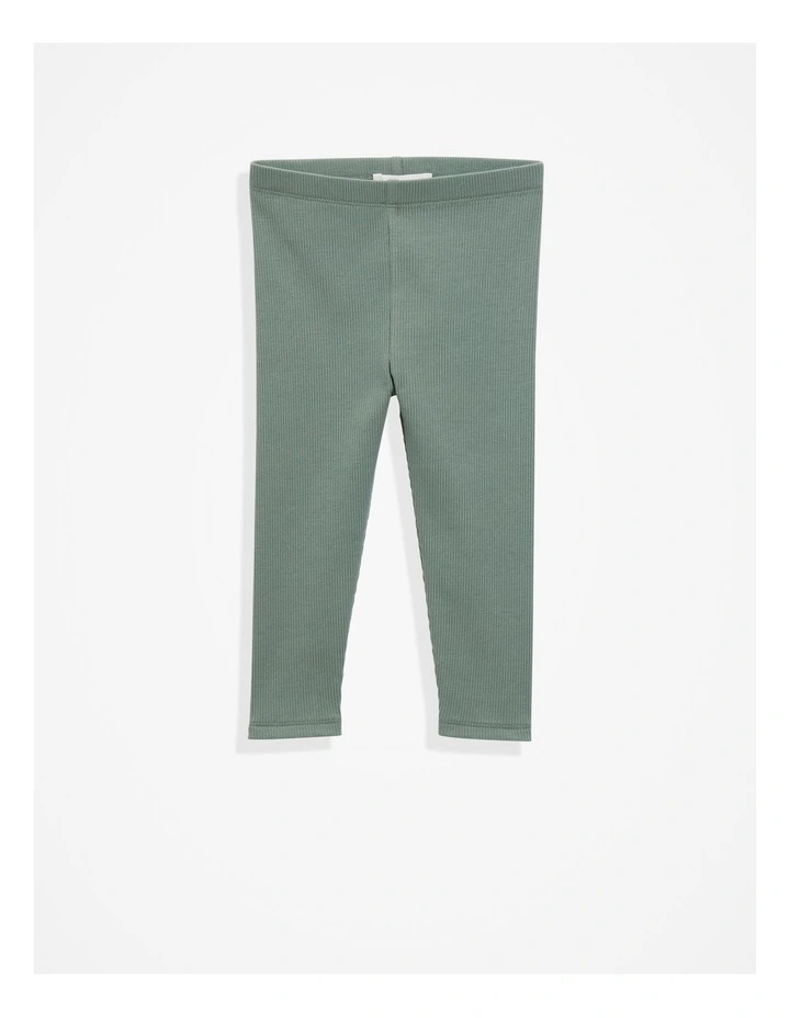 Cotton Solid Rib Legging in Sage