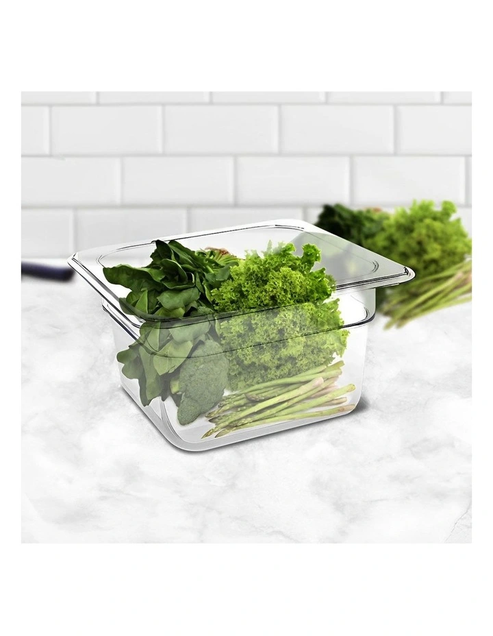 Gastronorm Pan 1/6 Food Tray 100mm in Clear