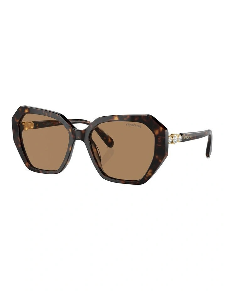 SK6017 Sunglasses in Brown
