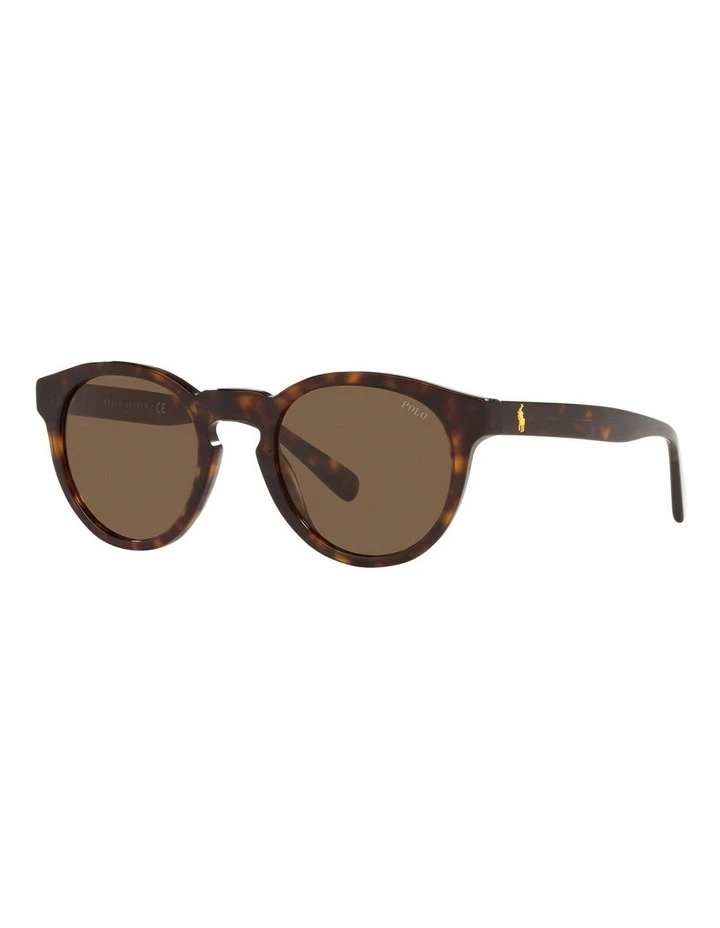 Color Shop Round Sunglasses in Brown