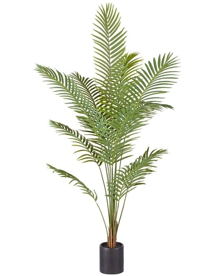 Areca Palm Artificial Plant 210cm in Assorted