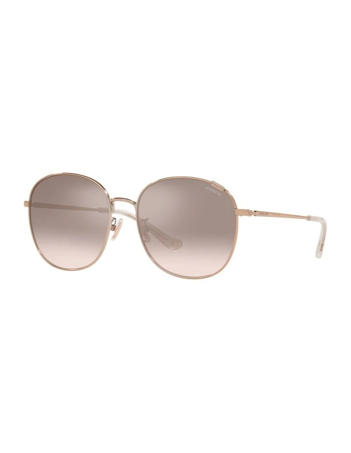 HC7134 C7996 Gold Sunglasses