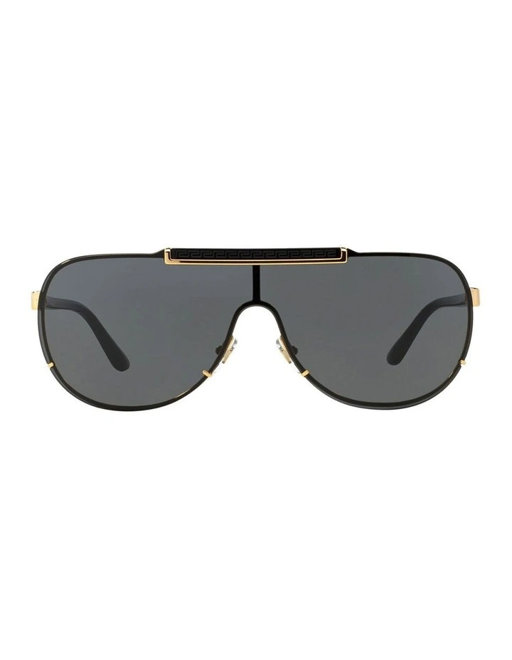 VE2140 Gold Sunglasses